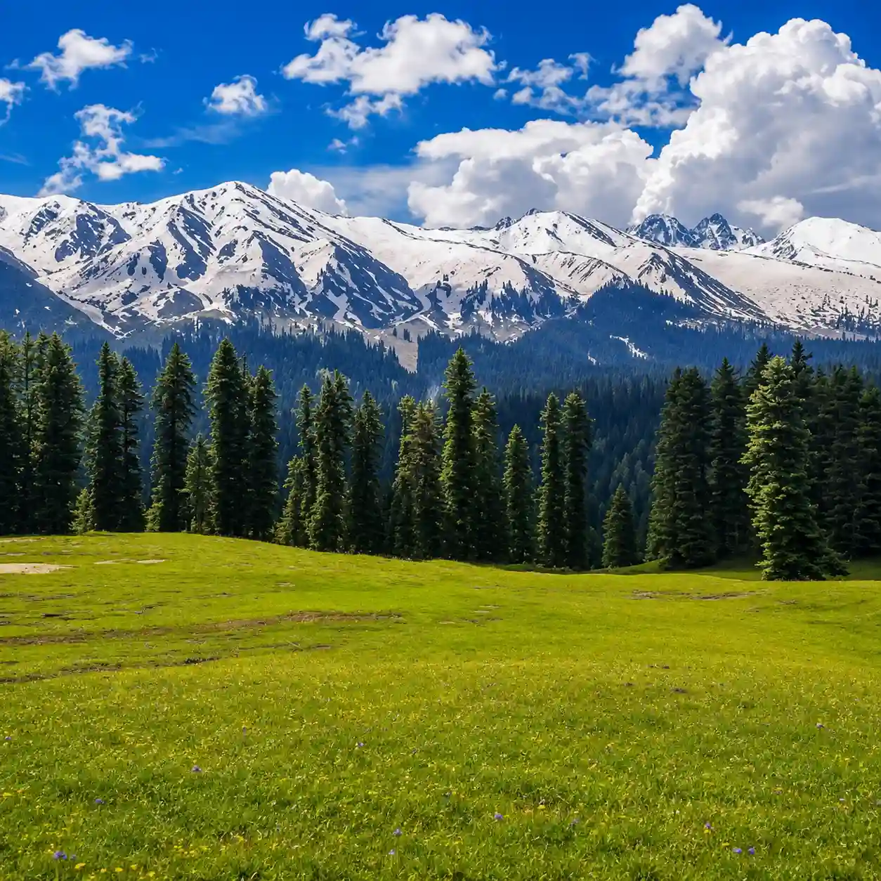 Pahalgam Tour Packages from Ahmedabad