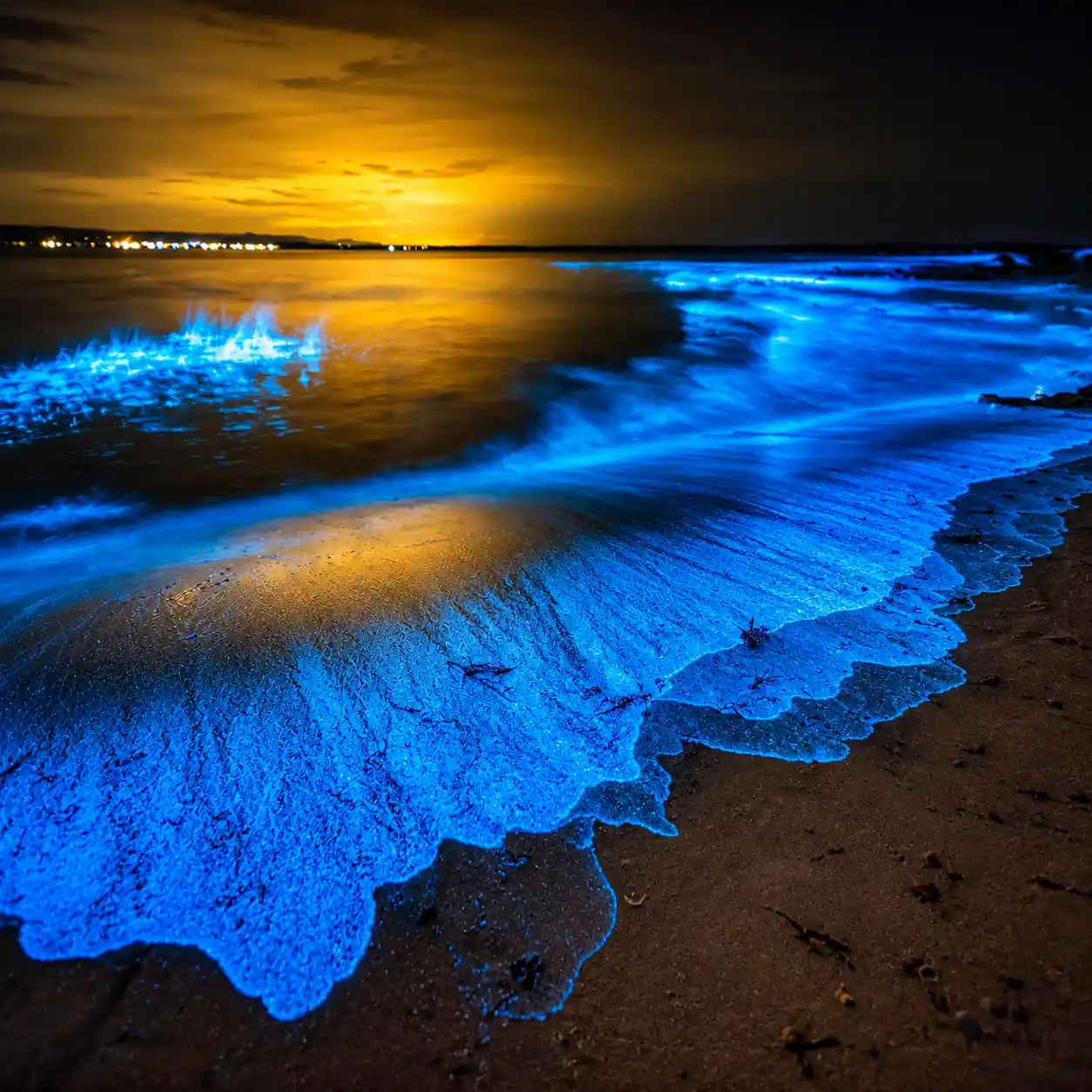 Bioluminescent Beaches maldives