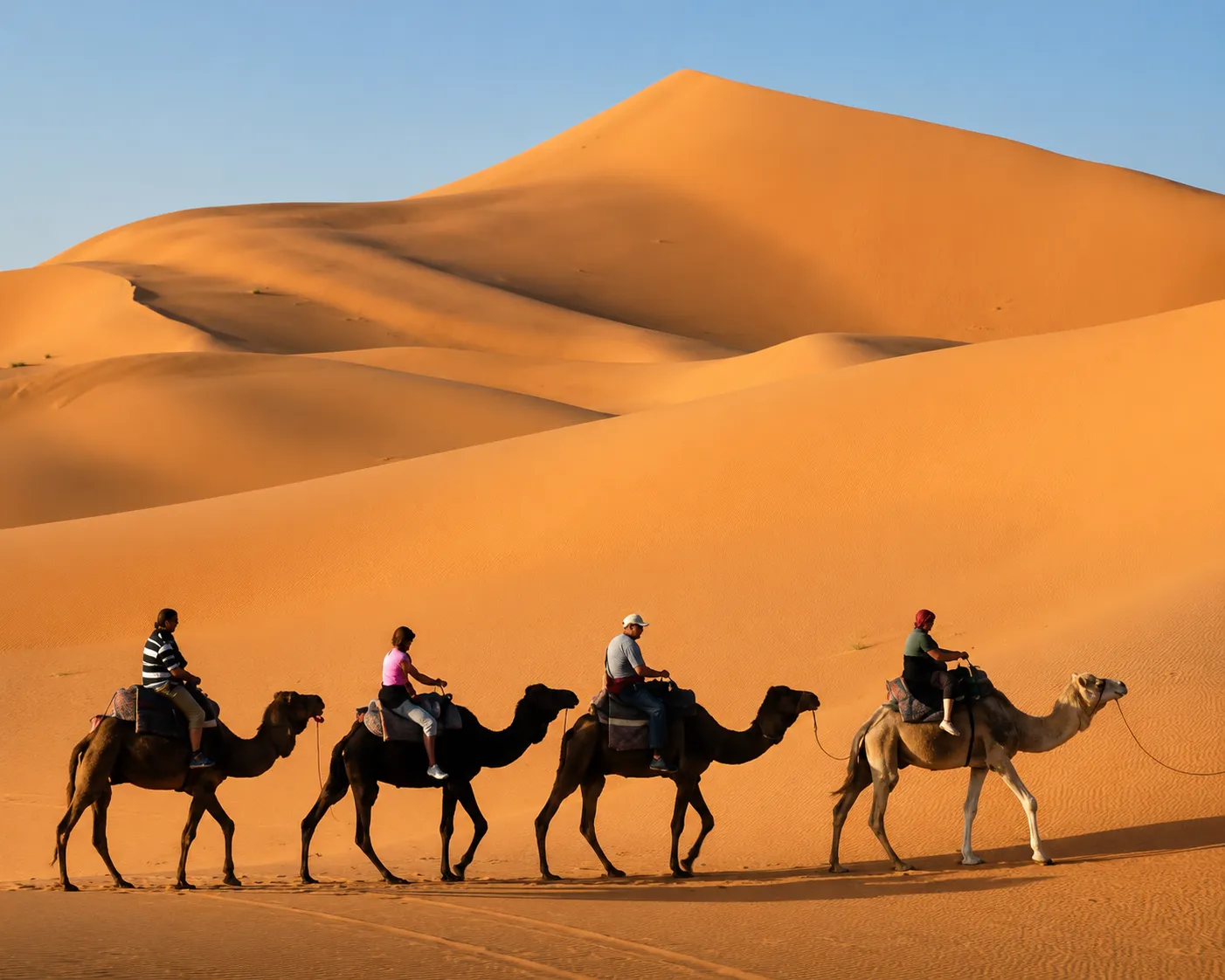 Desert Sand Dunes Camel Safaris