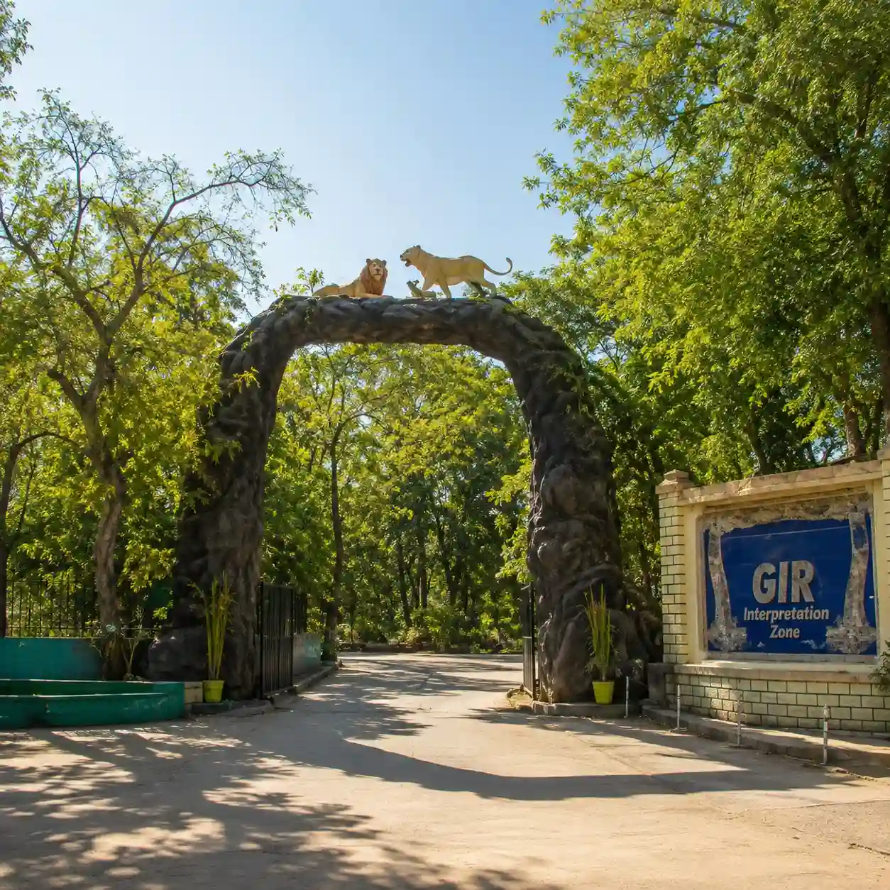 Gir Tour Packages From Ahmedabad