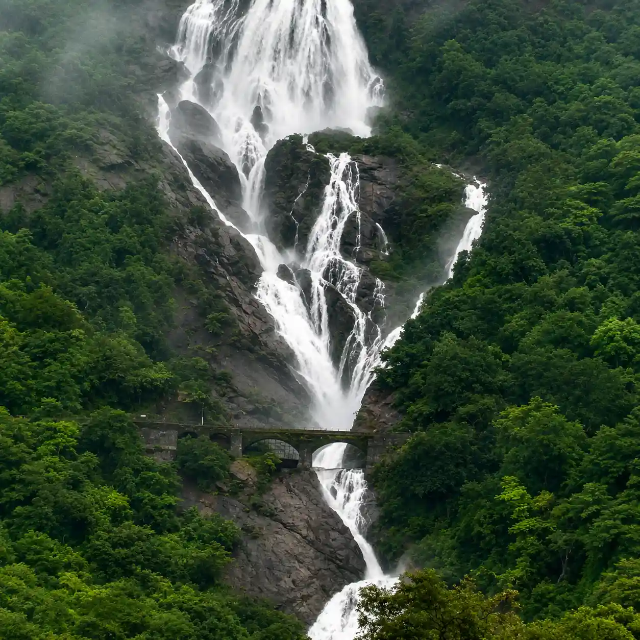Dudh Sagar