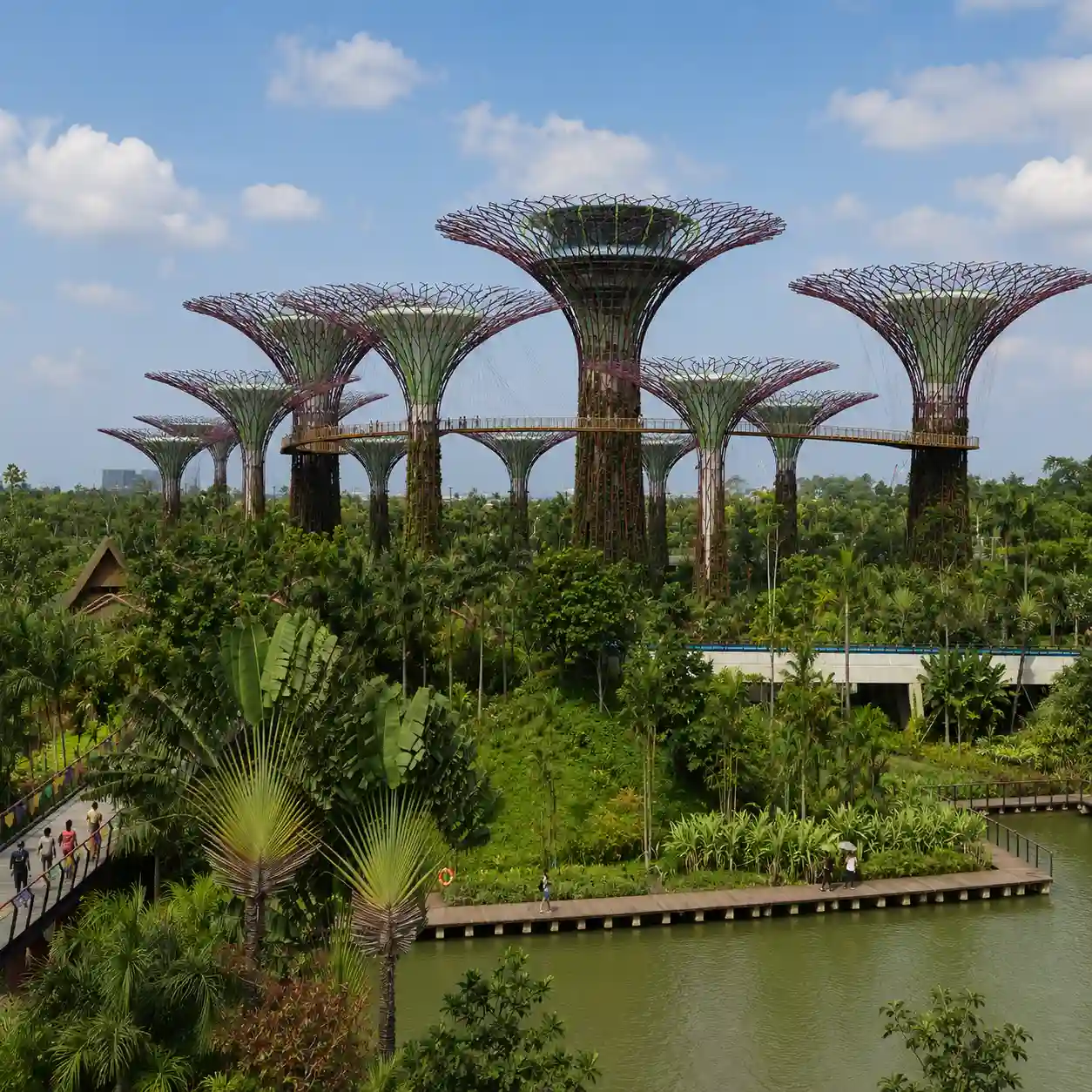 Gardens by the Bay singapor