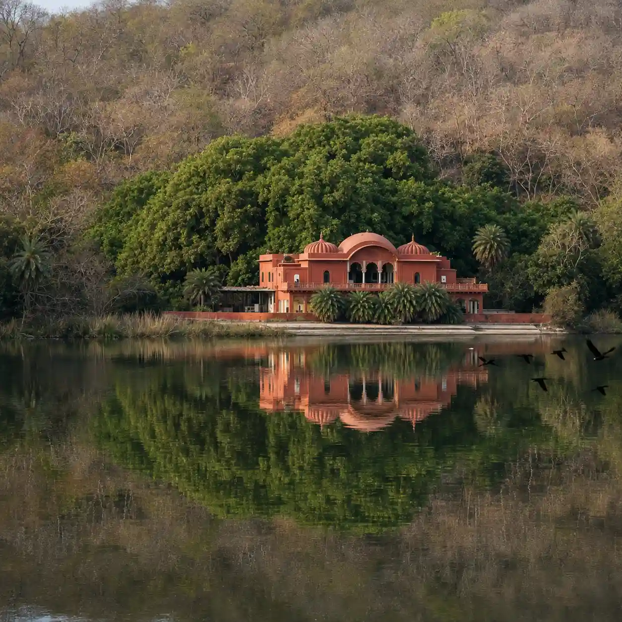 Jogi Mahal