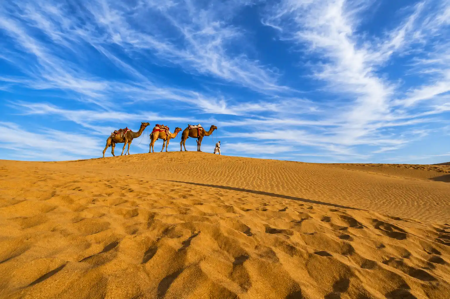 Sam Sand Dunes