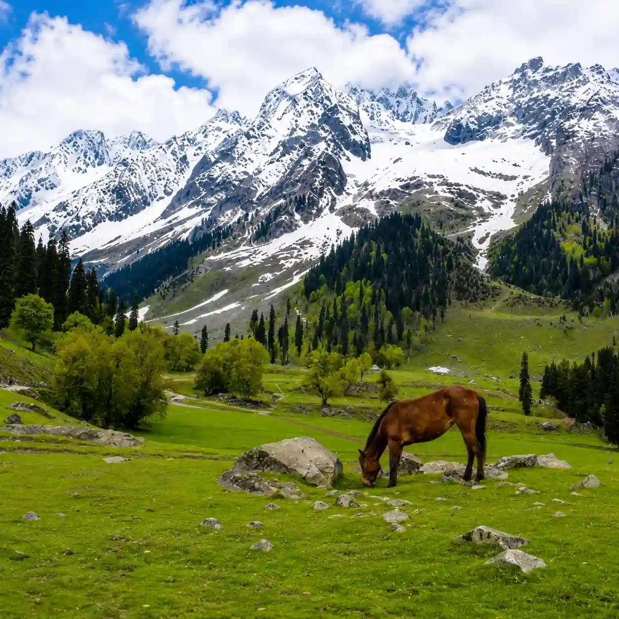 Sonmarg Tour Packages from Ahmedabad