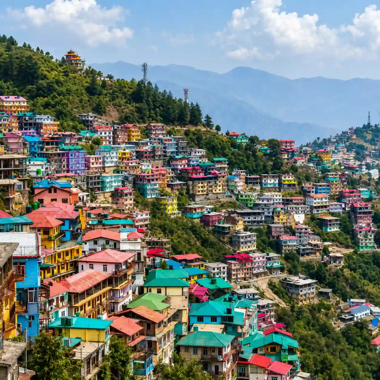 Shimla