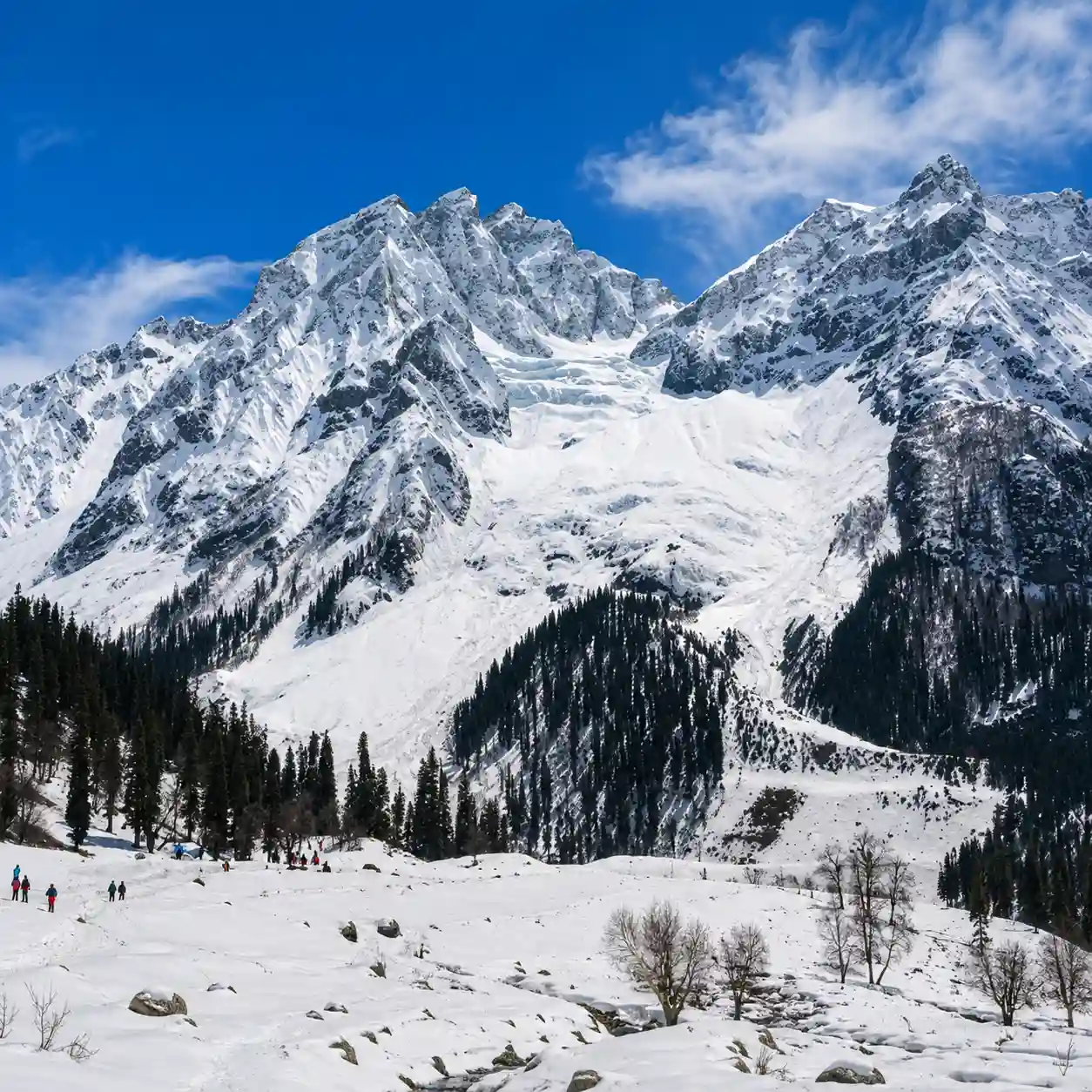 Thajiwas Glacier