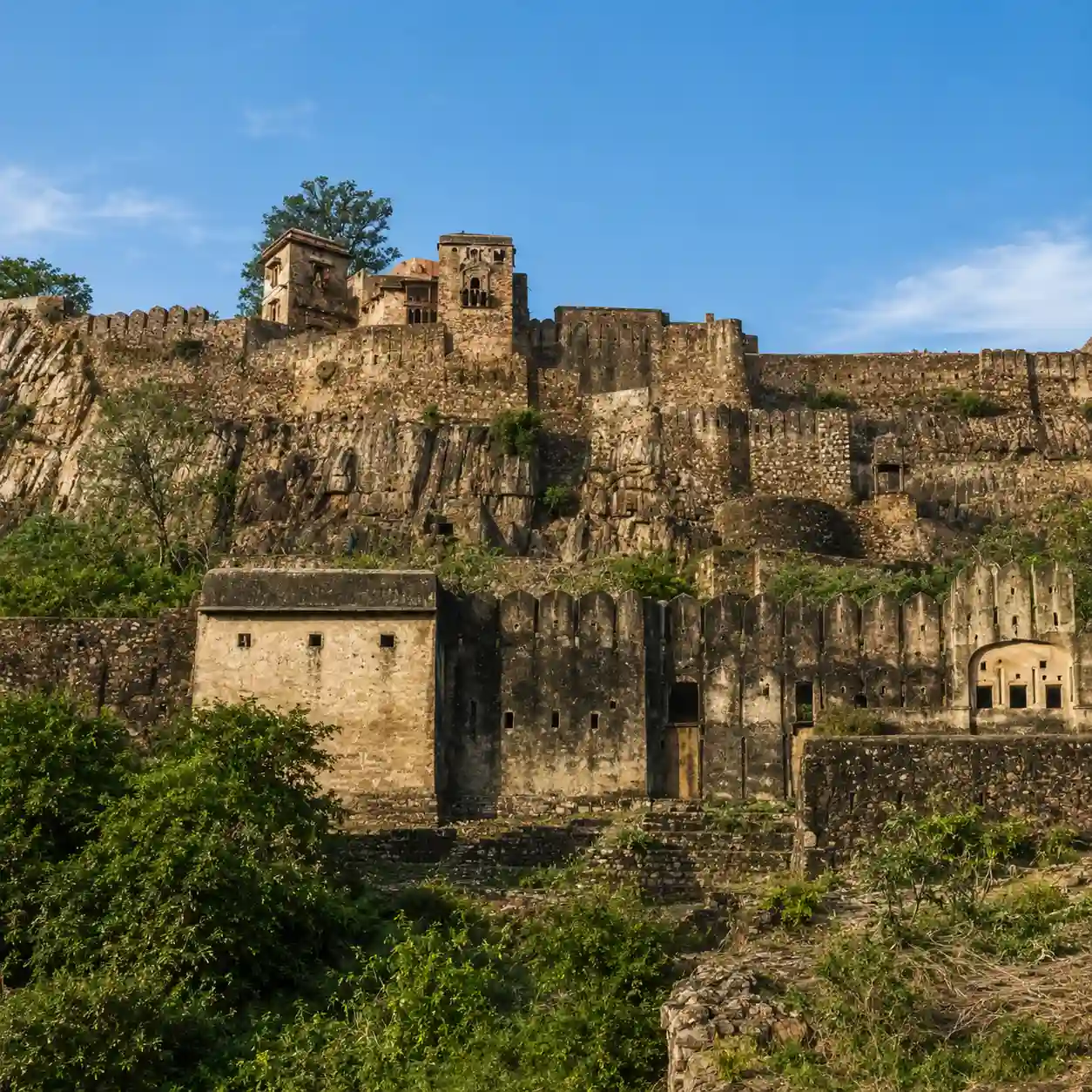 Ranthambore Tour Packages from Ahmedabad