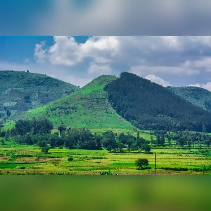 Araku valley